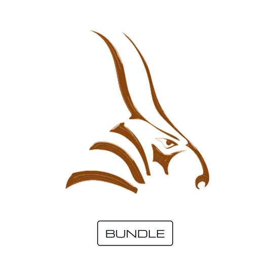 Bongo + Rhino 3D